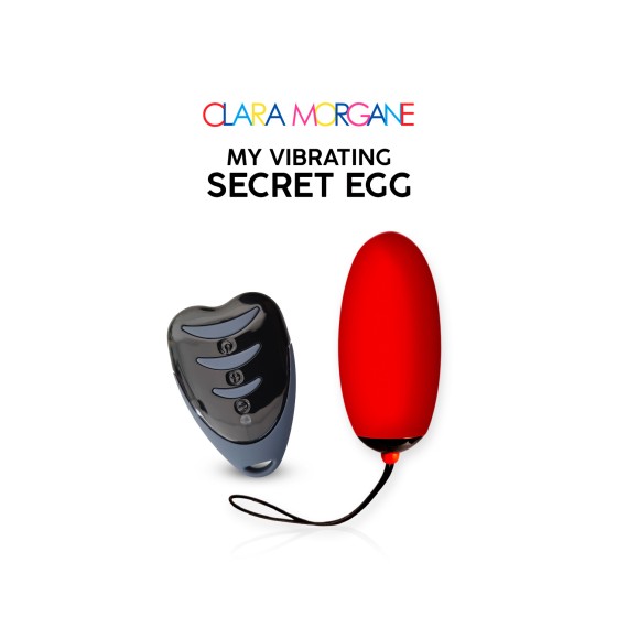 My Vibrating Secret Egg...