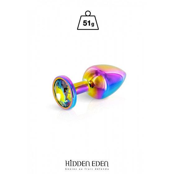Plug bijou aluminium Rainbow S - Hidden Eden